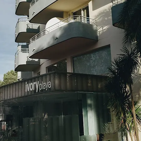 Ivory Playa Sports & 3*